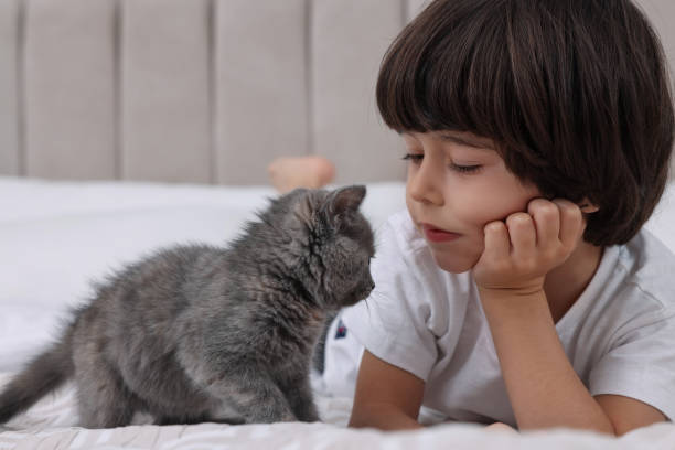 istock Cute little boy with kitten on bed. Childhood pet 1414972621