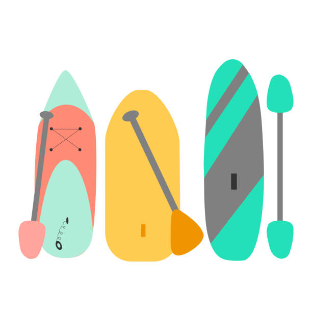 Different sup stand up or paddle surf boards, flat vector Different sup stand up or paddle surf boards, flat vector illustration paddleboard stock illustrations