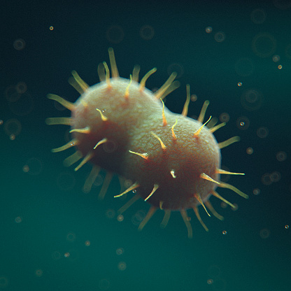 3d render of Gonorrhoea Bacteria