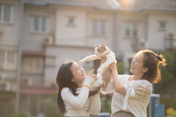 istock Asian Chinese single mother and daughter playing with cat 1414976309