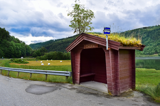 Traditional wooden bus stop with grass covered roof and tree on top on the side of the road in rural landscape, Norway, Scandinavia, Europe