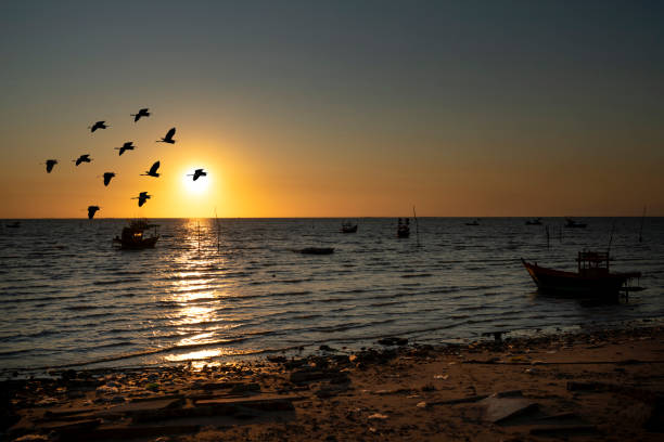 istock silhouette of bird flying on the sea 1414980951