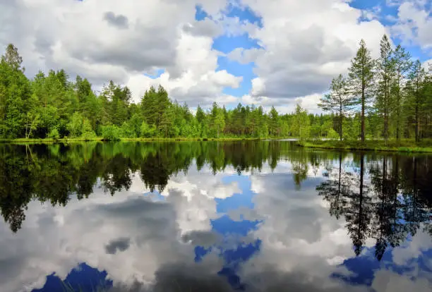 Quiet smooth beautiful lake in Karelia. Cloudy blue sky. Forest with trees and fir-trees.