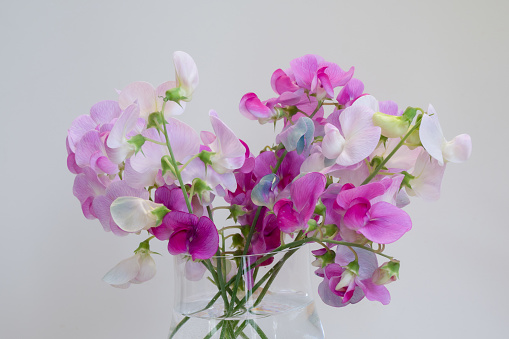 Bouquet of sweet peas in a glass bowl