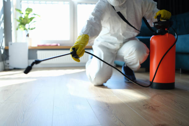 estinfection des locaux contre les insectes et les rongeurs avec des produits chimiques - désinfection photos et images de collection