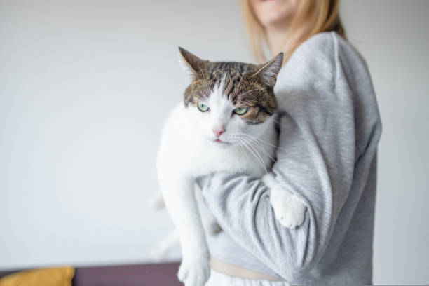 joven rubia con ropa de hogar sostiene un gato atigrado disgustado. mujer abrazando a su lindo gatito gris. - sisear fotografías e imágenes de stock