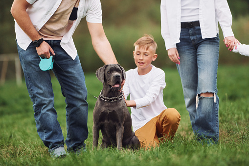 Sitting on the ground with dog. Family have weekend outdoors at summertime together.