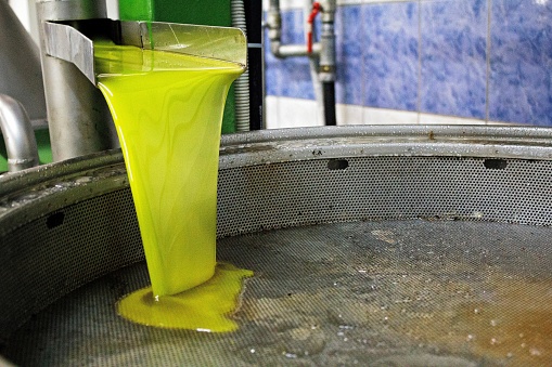 Extra virgin olive oil extraction process in olive oil mill located in Kalamata, Greece.