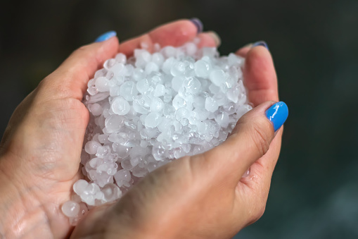 Holding freezing granulated hail ice crystals, grains in hands after strong hailstorm in autumn, fall. First snow in early winter. Cold weather