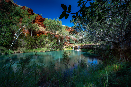 An image of beautiful blue sky, fern pool, waterfall in Dales Gorge, Karijini National Park, Western Australia