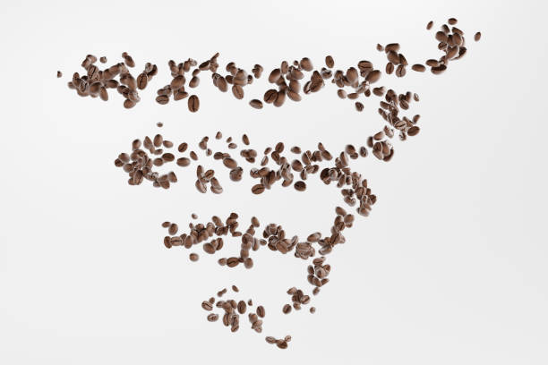 나선형 볶은 커피 원두 흰색 배경 - coffea arabica flash 뉴스 사진 이미지