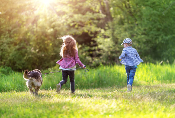 istock Children walking with a dog in nature 1414993285