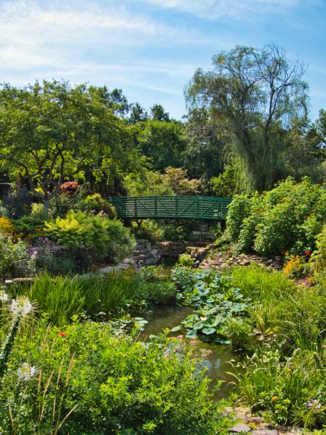 istock Green Bridge Crossing Beautiful Flower Garden 1414993655