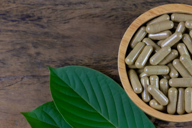 istock Mitragyna Speciosa Korth or kratom 1414995667
