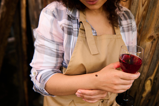 Close-up. Cropped image of a young woman in checkered shirt and beige apron, with a glass of homemade wine in nature, looking at a ladybug on her arm