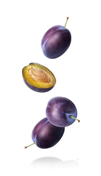 Plum fruit isolated on white background. Four falling prunes whole and cut half.