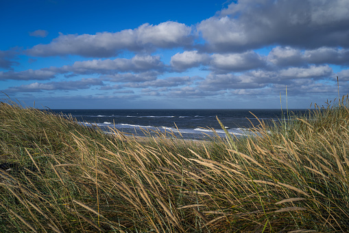 On Dune with marram Grass in foreground