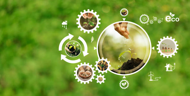 устойчивая экологическая энергетика зеленые бизнес-цели - green business стоковые фото и изображения