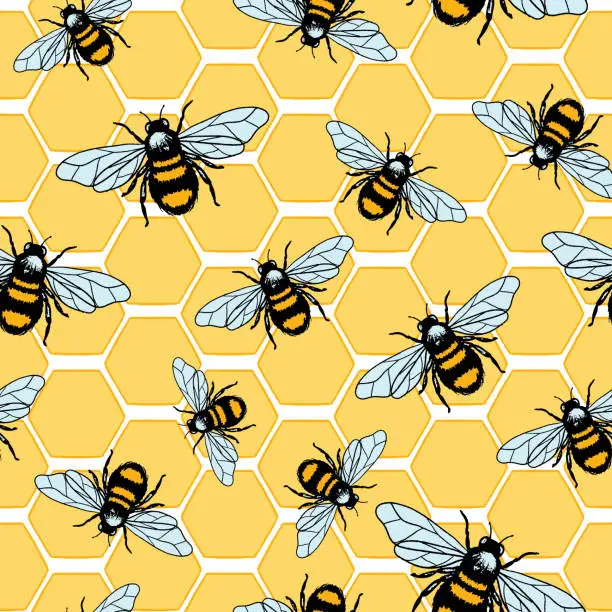 Vector illustration of Bumble Bee And Honeycomb Seamless pattern
