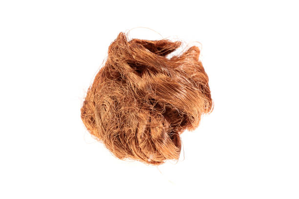 istock copper wires on a white isolated background 1415002411