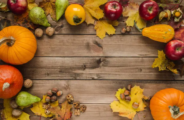 Variety of gourds, squash types and pumpkins. Flat lay composition frame with walnuts, hazelnuts, apples, kaki persimmon, pears and autumn leaves. Copy space on wooden background.