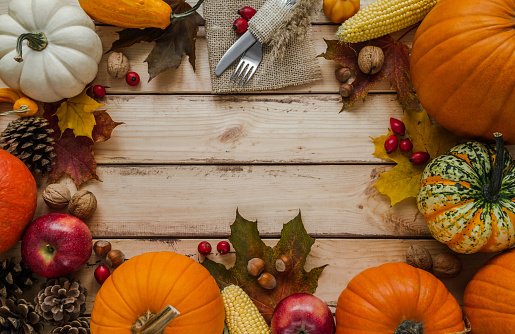 Pumpkins, cones, leaves, corn on the cob, with fork and knife on a jute material, for Thanksgiving dinner or Halloween.