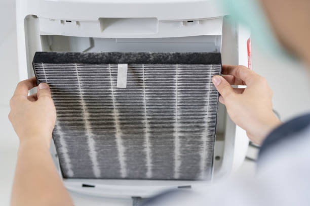 femme changeant un filtre d’épurateur d’air. - pureté photos et images de collection