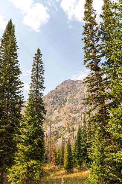istock Rocky Mountains on the Zirkel Circle loop, Colorado 1415008199