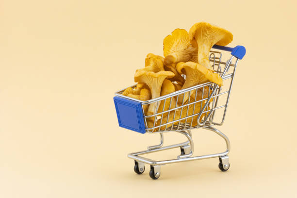 Chanterelles mushrooms in a shopping trolley Fresh picked Chanterelles mushrooms in a shopping trolley cart isolated on beige background with copy space. Concept forest organic mushrooms in supermarket chanterelle edible mushroom gourmet uncultivated stock pictures, royalty-free photos & images