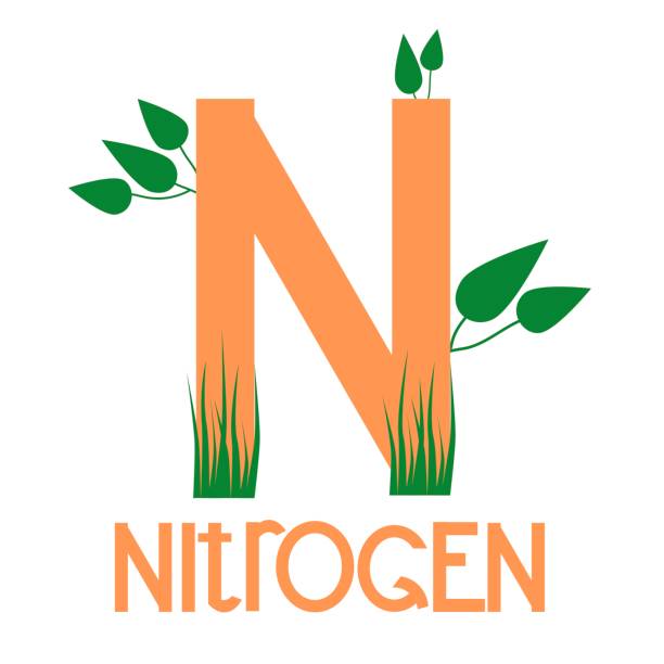 Nitrogen,  the chemical element with the symbol N. Global environmental problem. Nitrogen,  the chemical element with the symbol N. Global environmental problem. nitrogen element stock illustrations