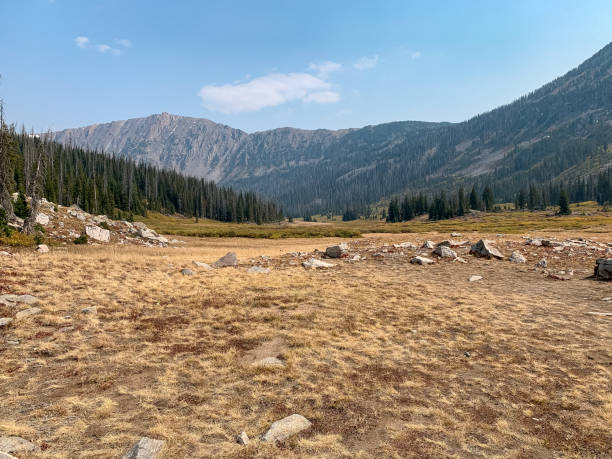 istock Meadow with rocks, Colorado on the Zirkel Circle loop 1415008992