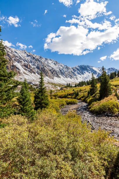 istock Rocky Mountain valley, Colordao, USA 1415009098