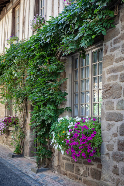 istock Wisteria growing on a stone wall 1415014675