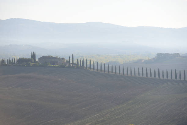 istock Landscape of Tuscany fields in Italy 1415014720