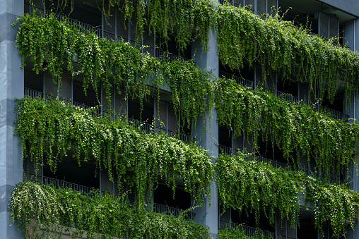 Exterior unidentify modern building facade with green vertical garden on corridor sustainability architecture business design concept.