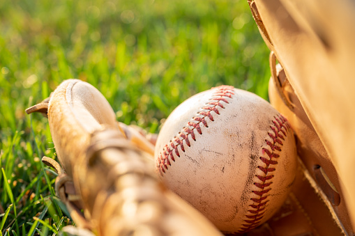 Baseball in baseball glove on the grass with sun shining in