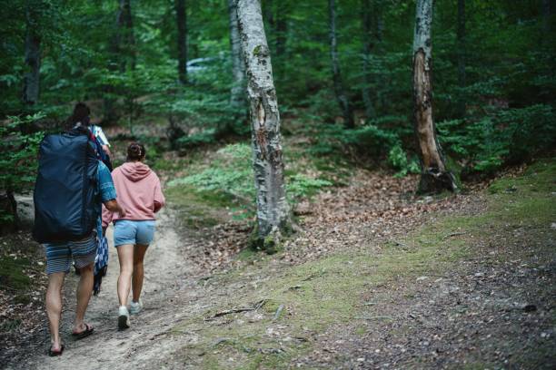istock Millennial friends walking on a forest trail back to the car 1415017400