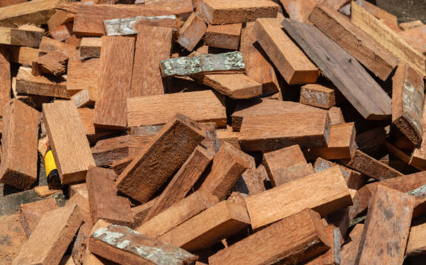 istock Wood construction waste, Trimmed boards and sawdust from a circular saw 1415017493