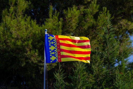Flag of the Spanish region called Comunidad Valenciana waving in the wind on a white flagpole anchored by pine trees