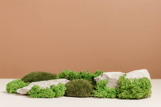 istock Stone podium with moss for natural eco product presentation 1415020131