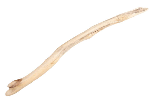 istock Piece of driftwood isolated on white 1415023198