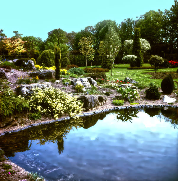 istock Garden pond with a rockery 1415023358
