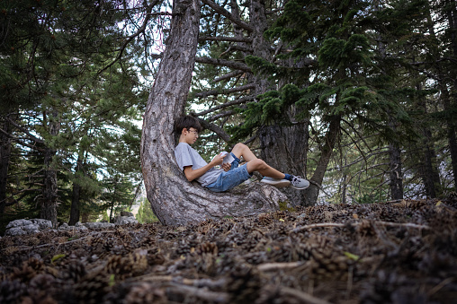 Young boy sitting tree and reading book in forest