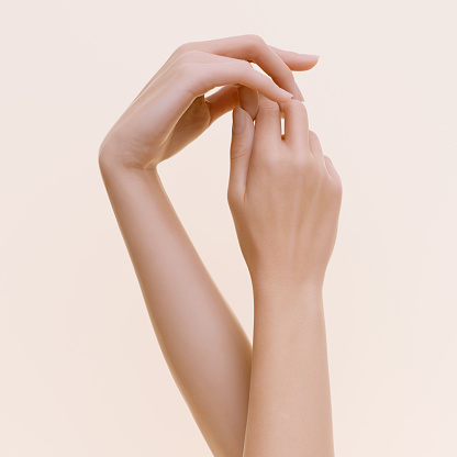 Abstract beautiful woman's hand. Elegant female hands gesture art creative concept banner, 3d rendering
