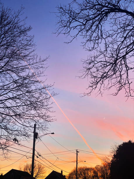 A beautiful pink and orange sunset sits above a silhouette of a suburban residential neighborhood.
