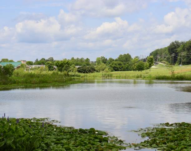istock Beautiful Pond in the Country 1415030762