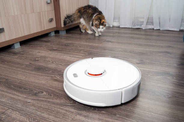 istock a white vacuum cleaner robot and a fluffy cat on a laminated wooden floor. 1415034072