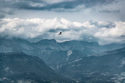 Hang glider in the stormy sky. Dramatic photo of extreme sport activity