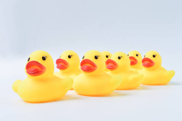 istock Toy ducks standing together in a row. Teamwork and togetherness concept. 1415040803