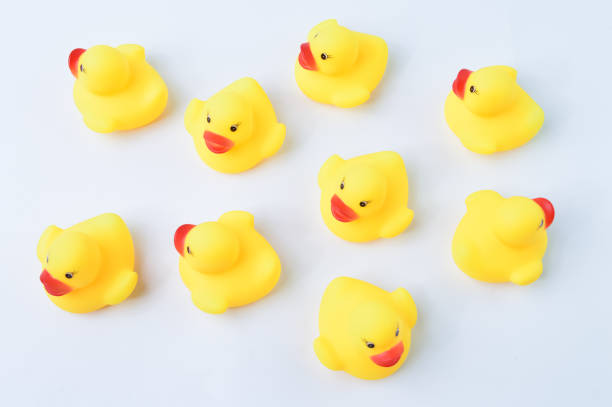 istock Toy ducks heading with different directions. Business innovation, unique and think different concept. 1415040881